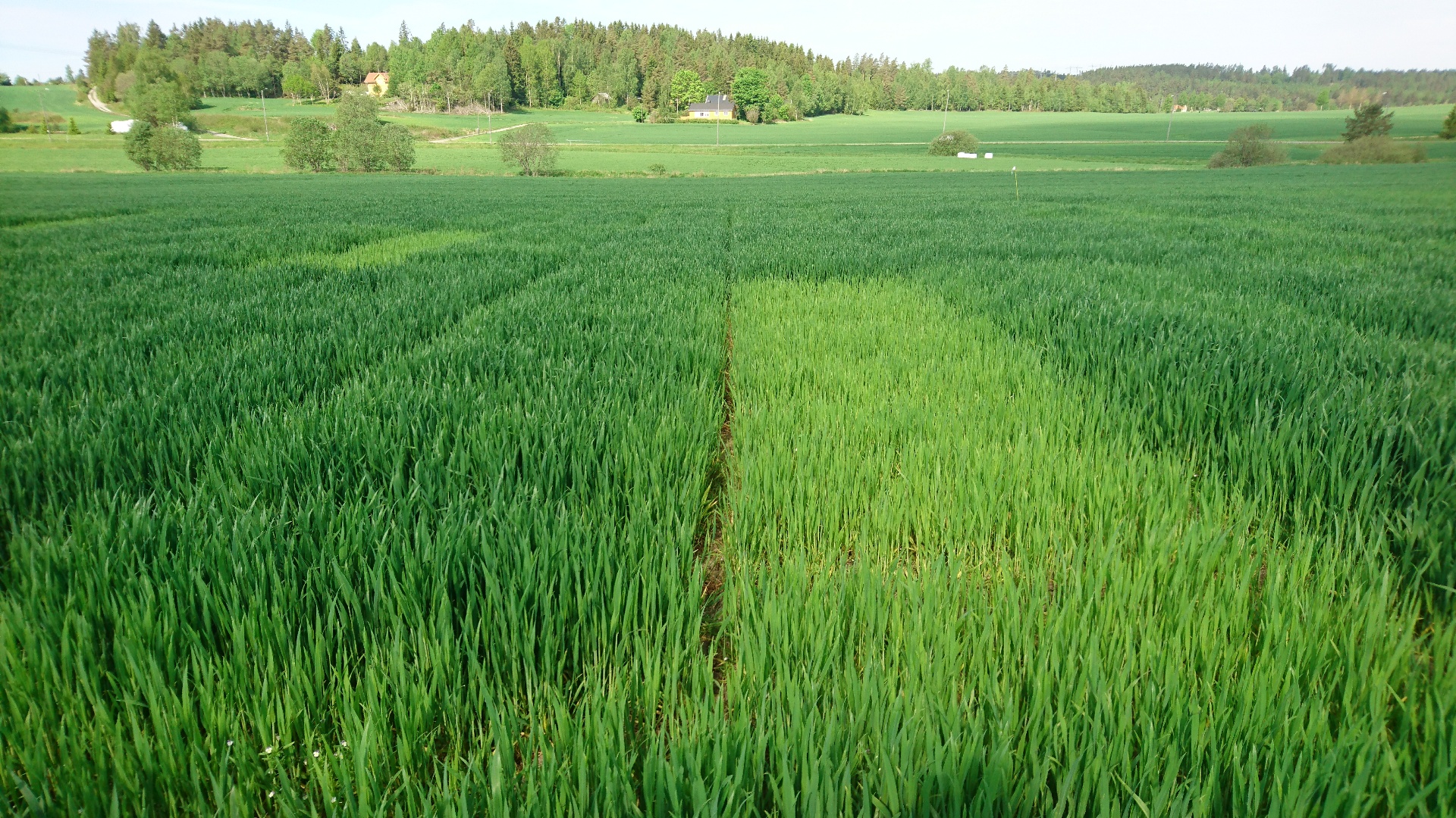 Uke 22 Felt 4 Vestby. Fotograf Øyvind Akselsen