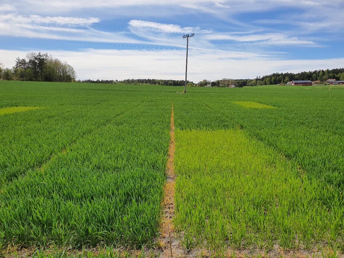 Bilde 1 Fredrikstad.jpg