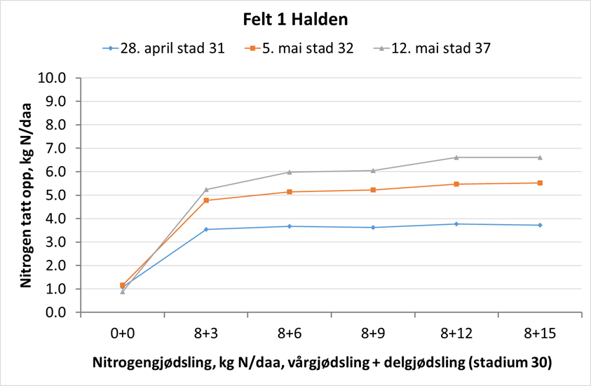 halden, uke 20