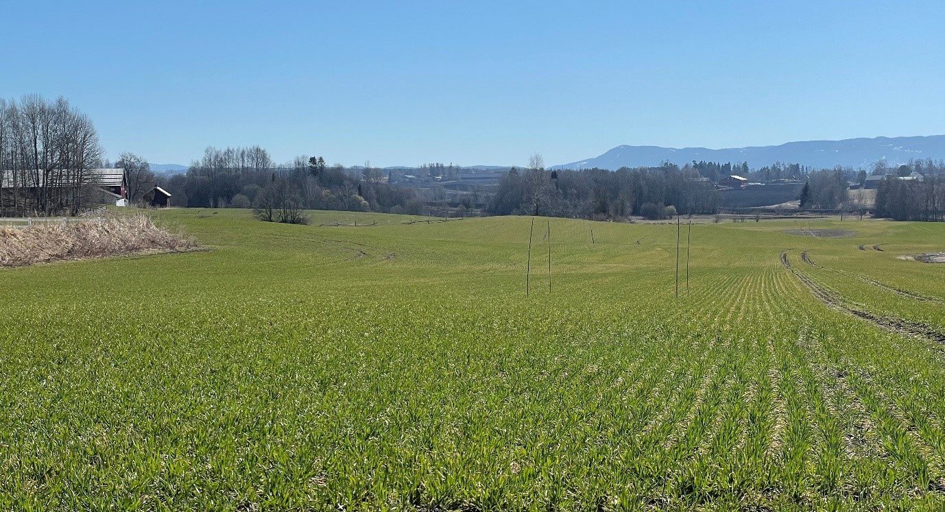 God start for høstkornet