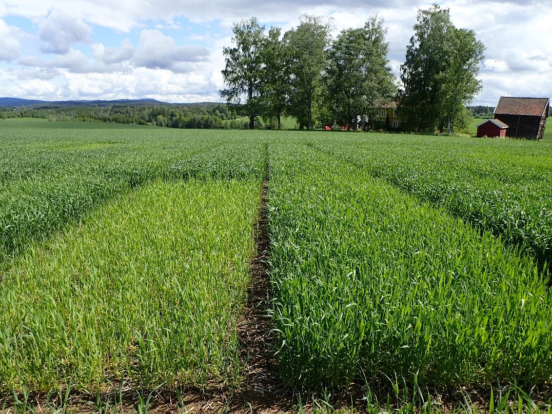 Bilde 5 Vormsund.jpg