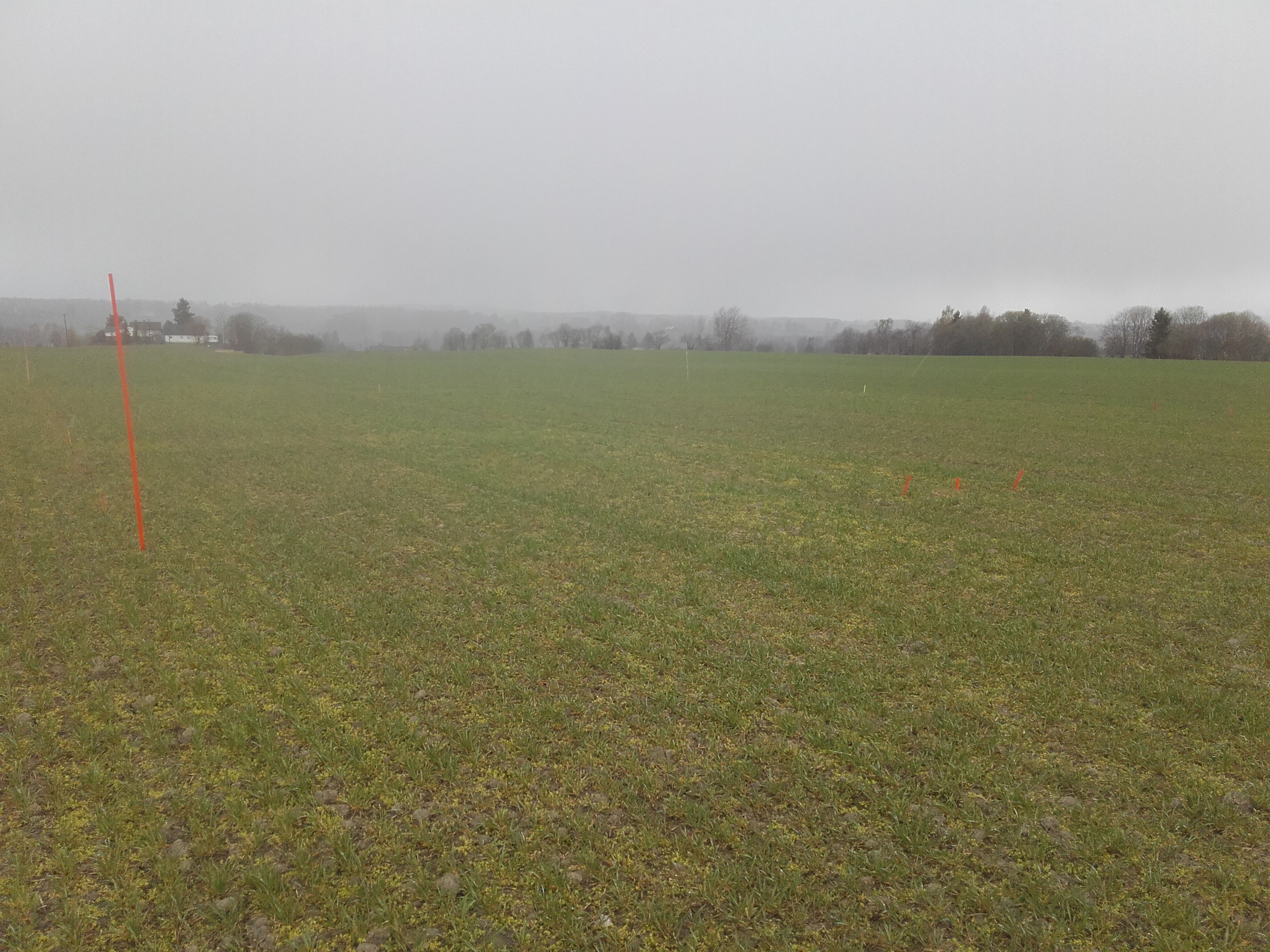 Uke 19 Felt 5 Årnes