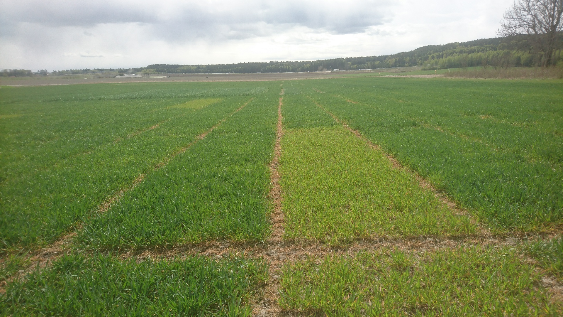 Uke 19 Felt 1 Øsaker