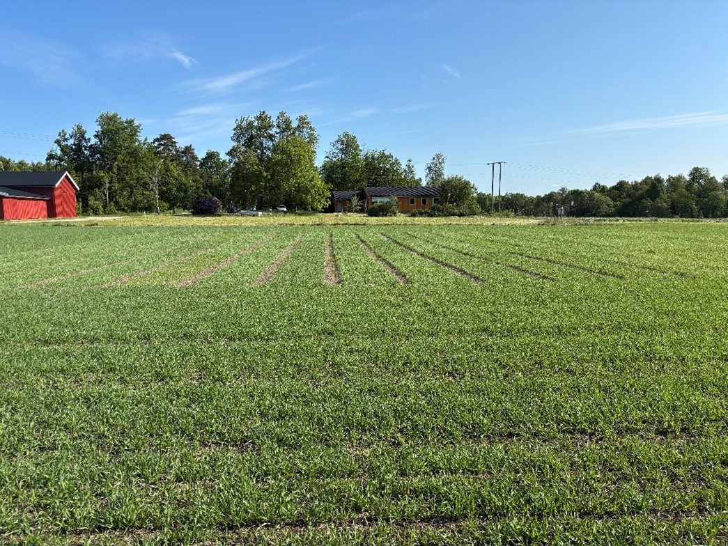 &oslash;stfold