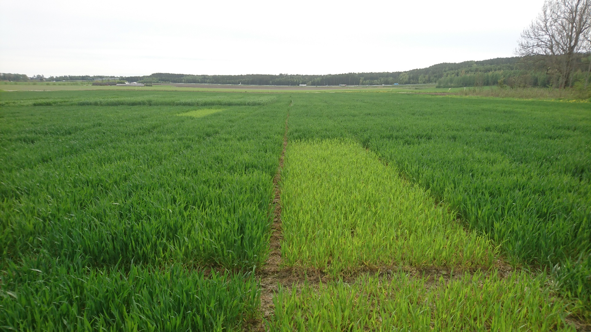 Uke 21 Felt 1 Øsaker. Fotograf Øyvind Akselsen