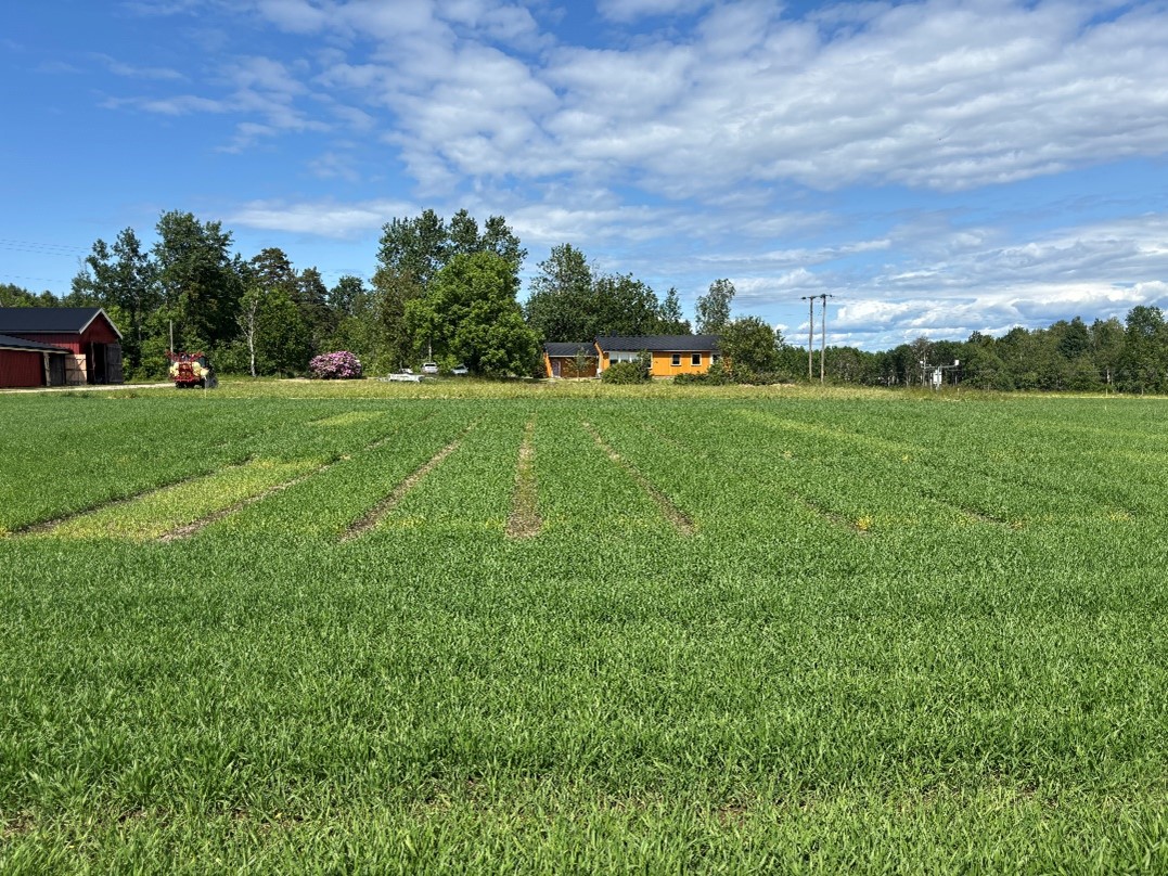 &oslash;stfold