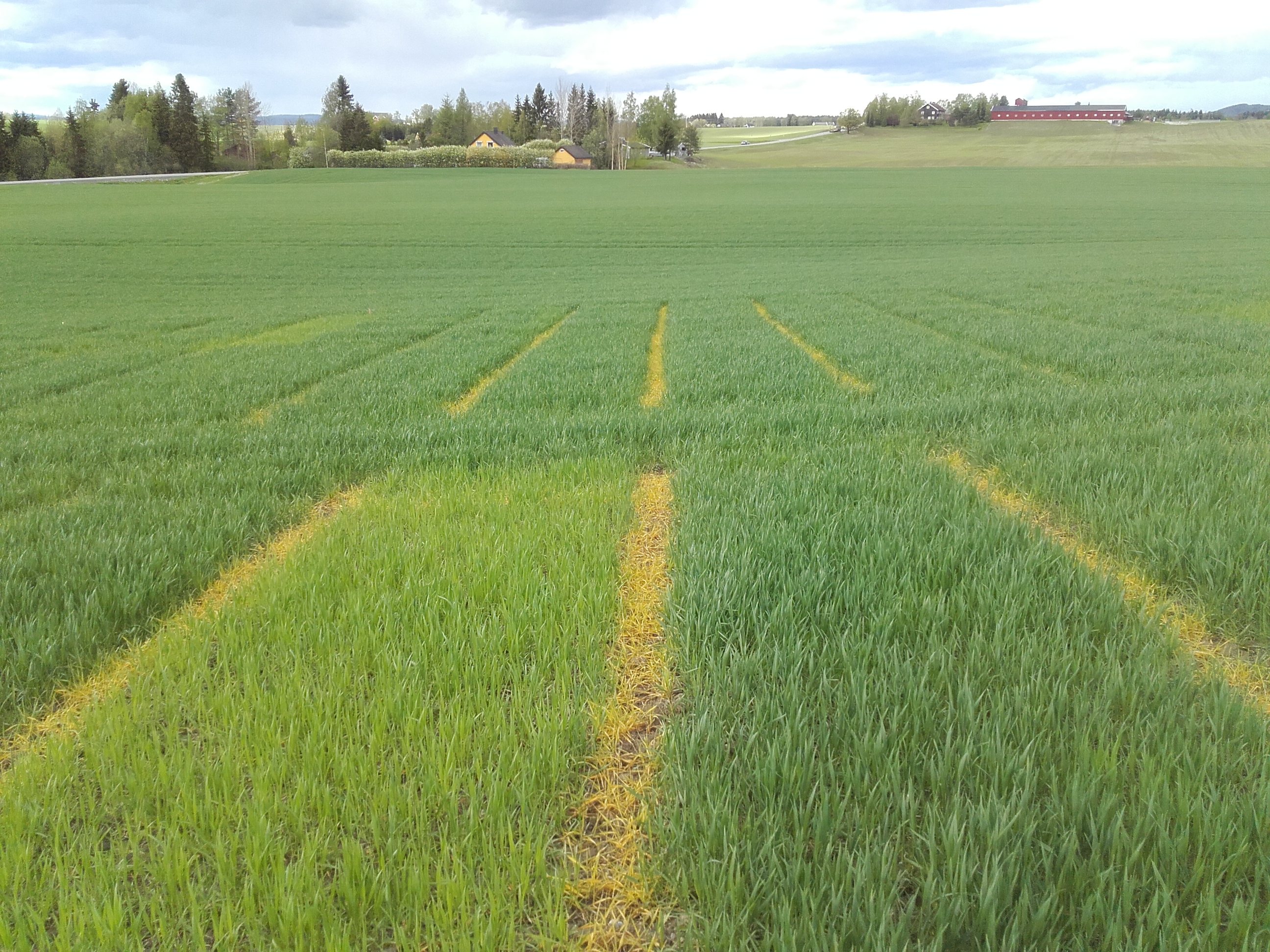 Uke 21 Felt 7 Vormsund. Fotograf Morten Botilsrud