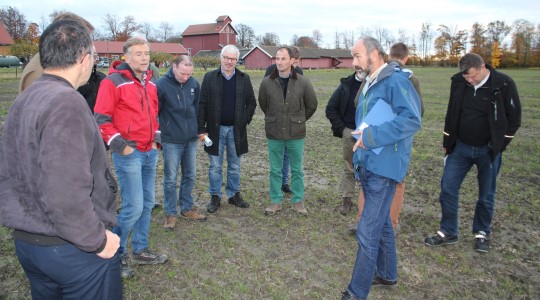 Danske bønder besøkte Norge for å lære mer om norsk høstrapsdyrking