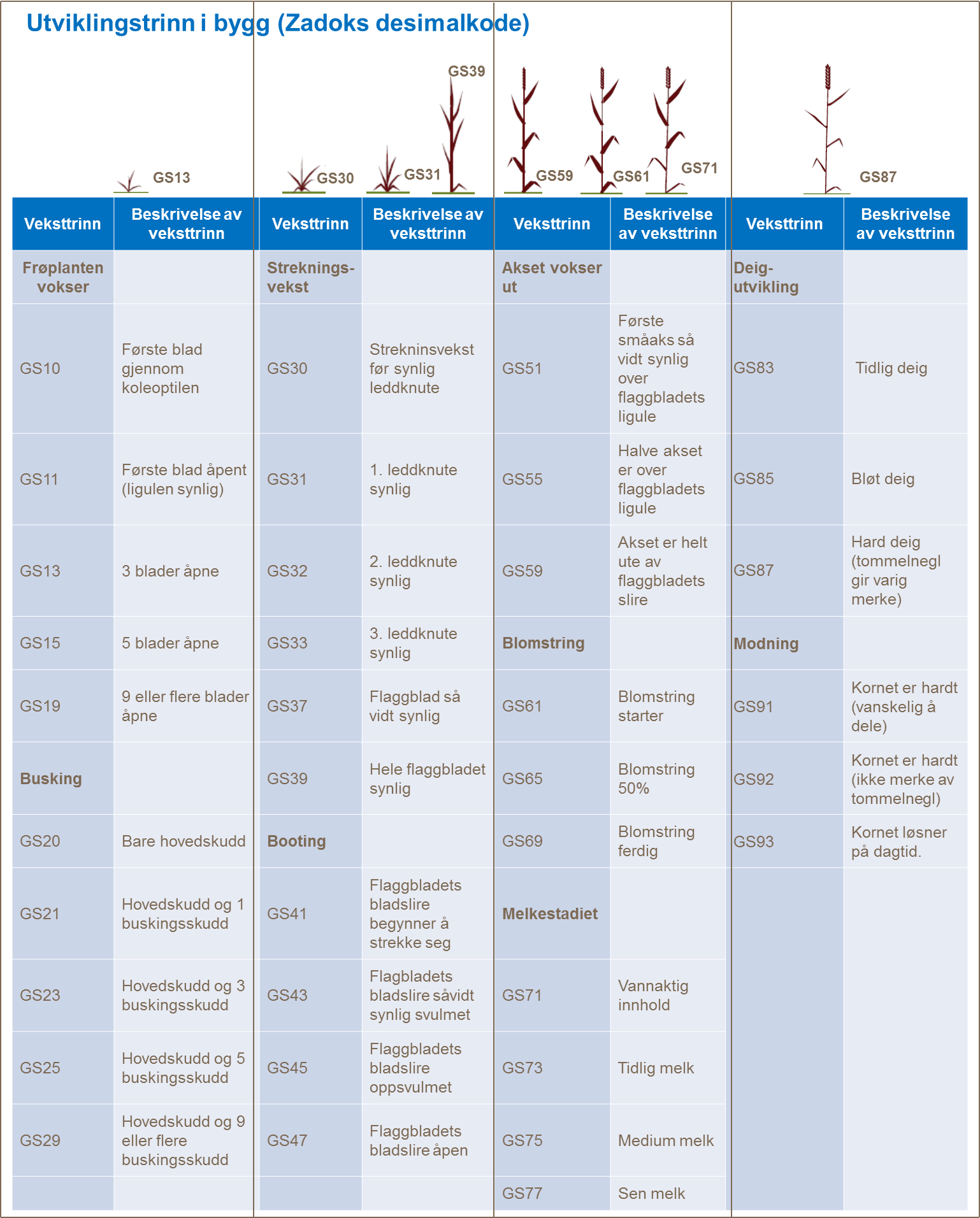 Utviklingstrinn - bygg
