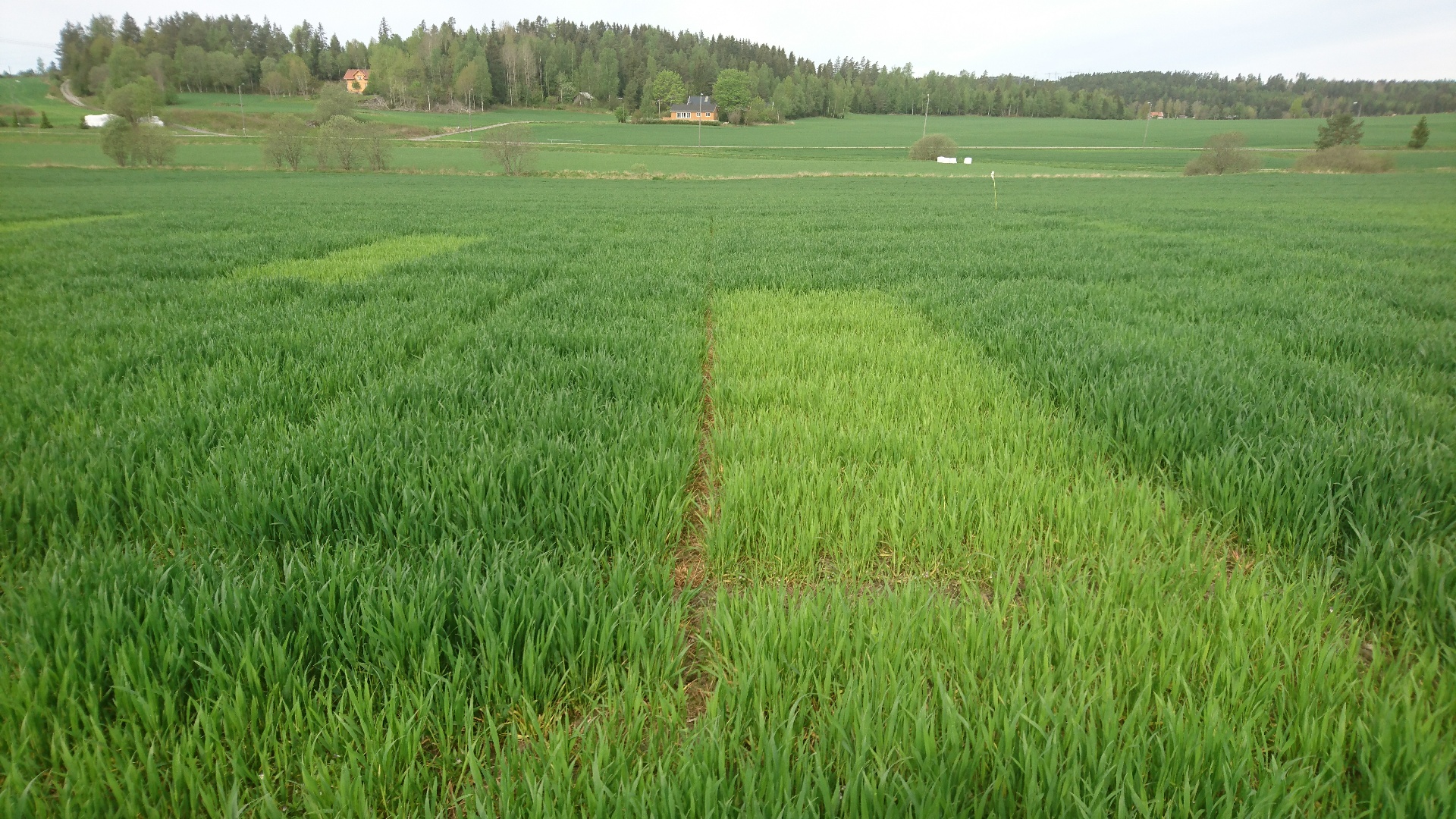 Uke 21 Felt 4 Vestby. Fotograf Øyvind Akselsen