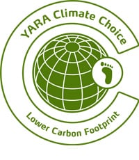 lower carbon