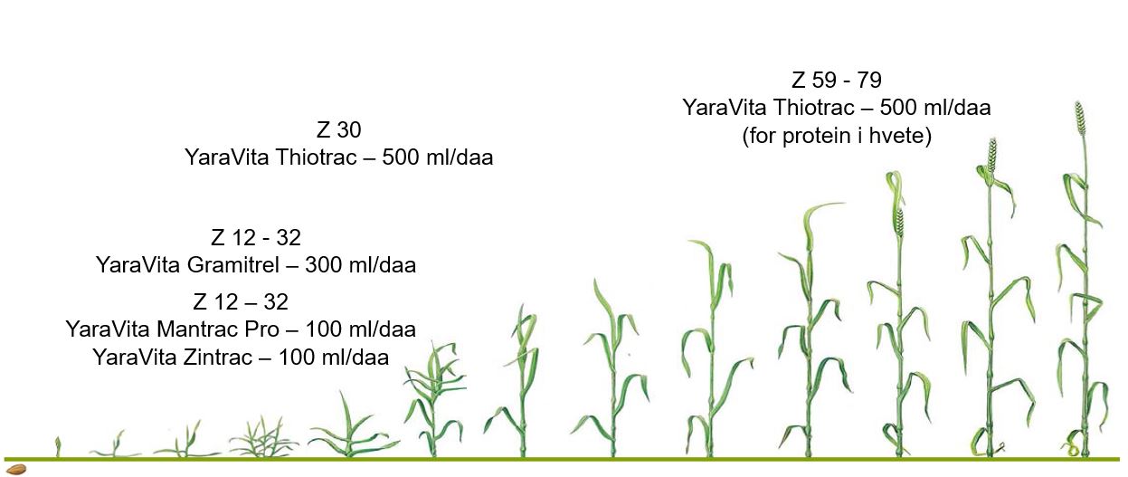 YaraVita-Gramitrel behandlingstidspunkt.JPG