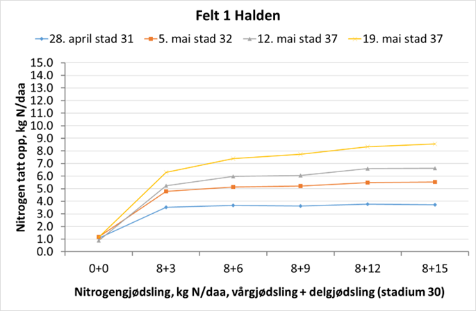 halden figur