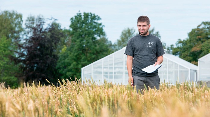 Yara-stipend for oppgaven: «Identifisering og validering av SNP-markører for Fusarium-resistens i hvete»