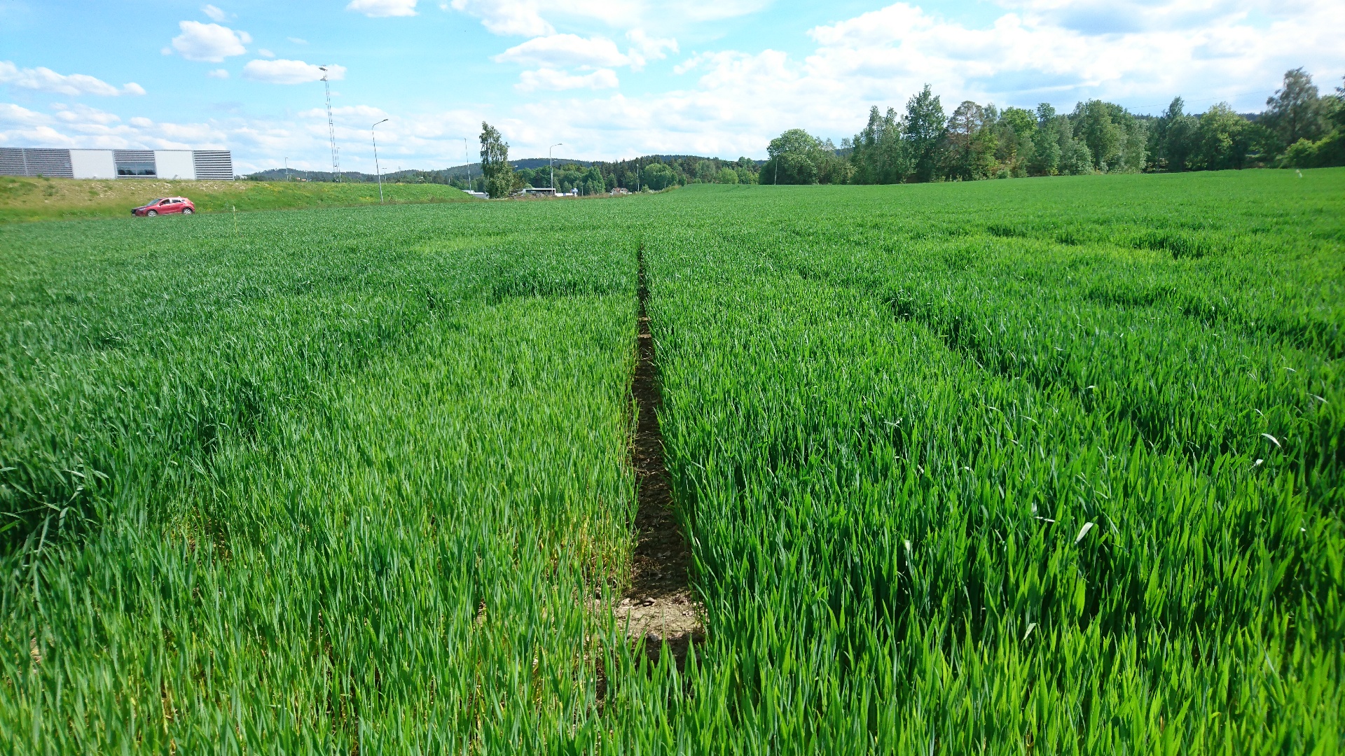 Uke 23 Felt 2 Halden. Fotograf Øyvind Akselsen
