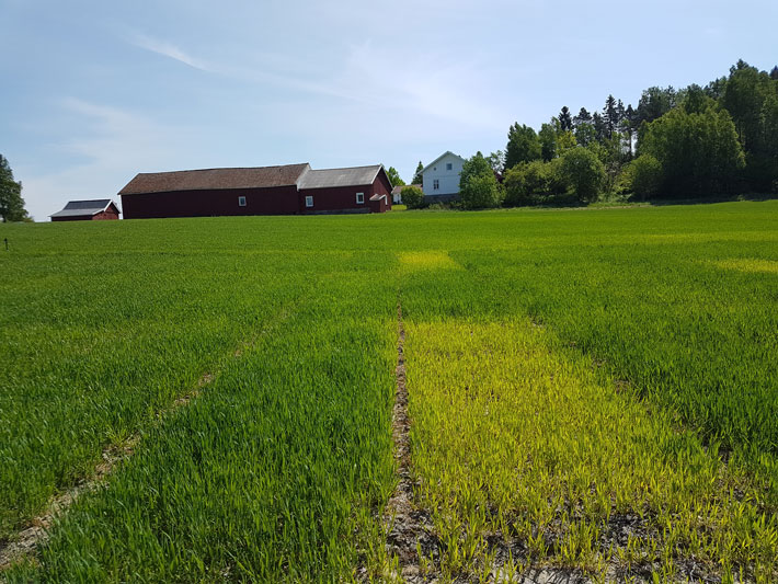 Uke 21 2018, Feltet fra Fredrikstad. Fotograf Øyvind Akselsen