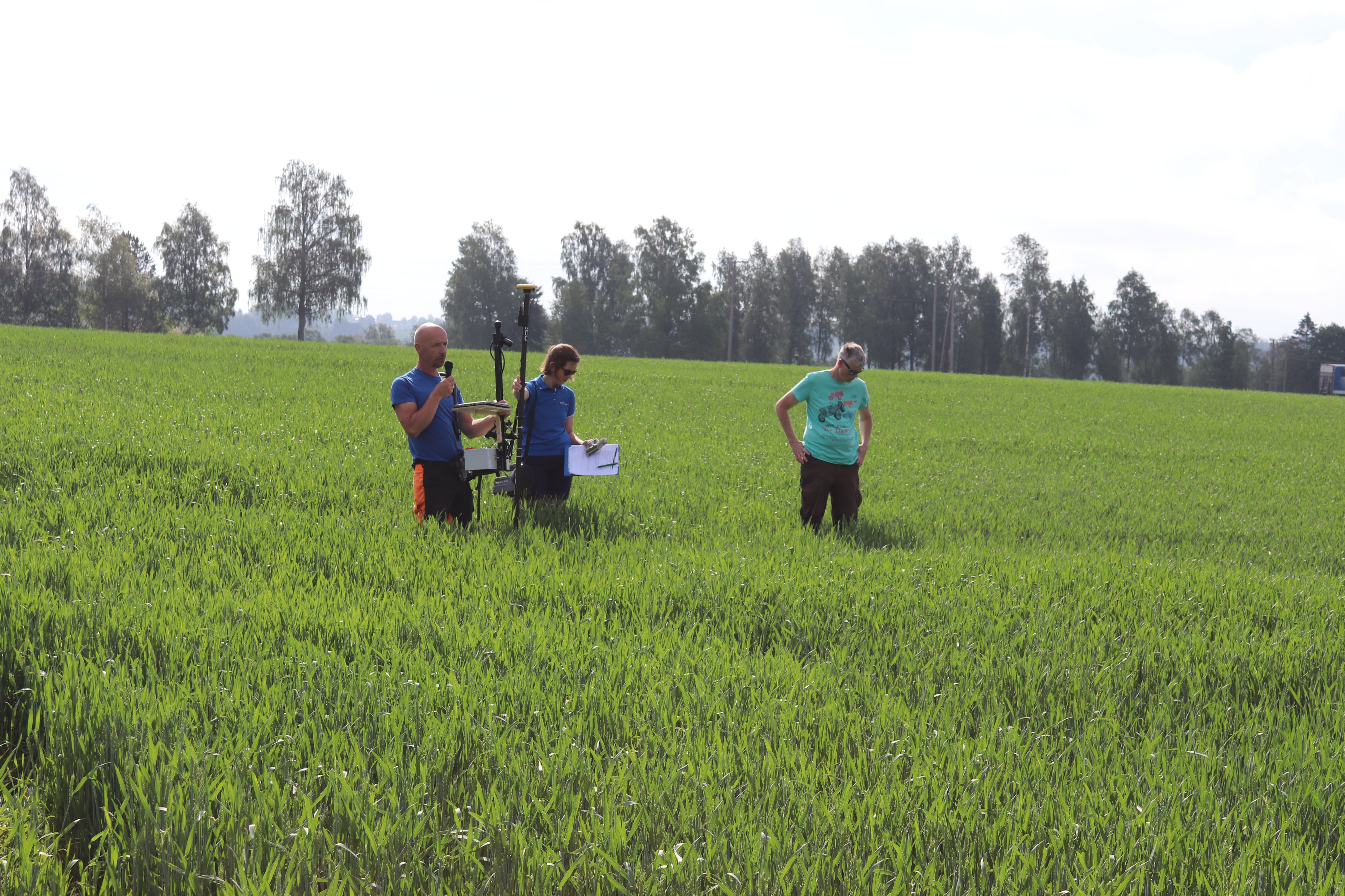 N-sensor på markdag
