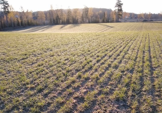 Status 27-4. Svein Ivar