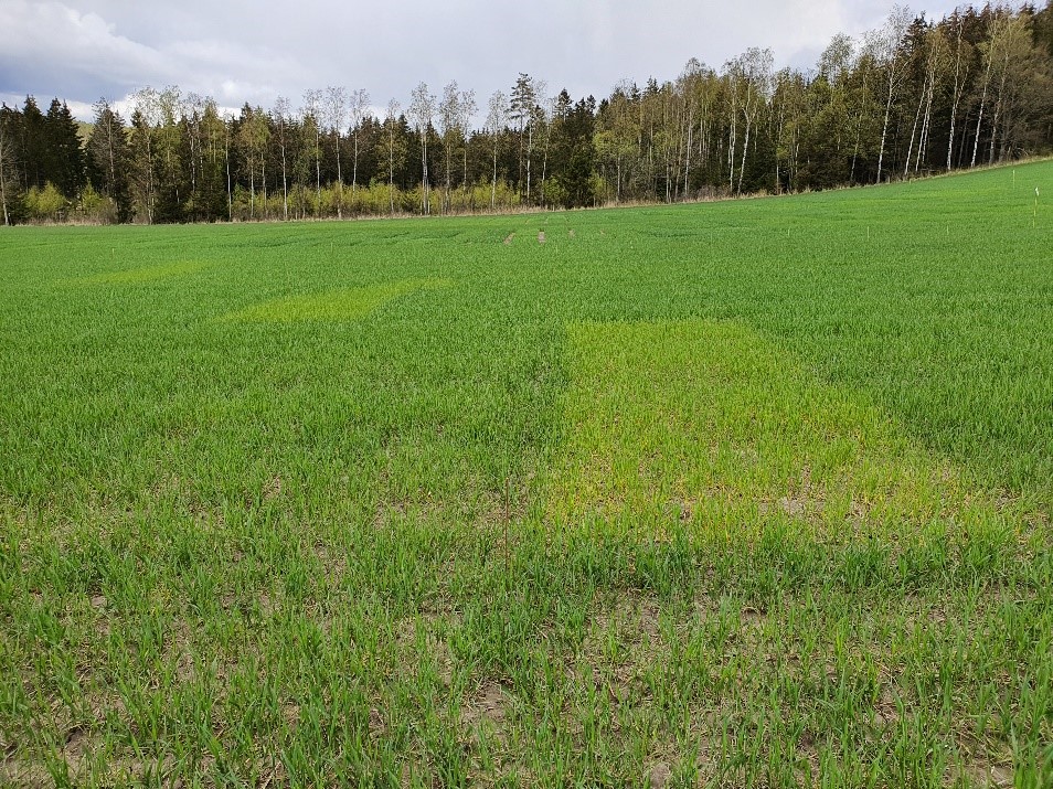 Bilde 3 - Sarpsborg.jpg