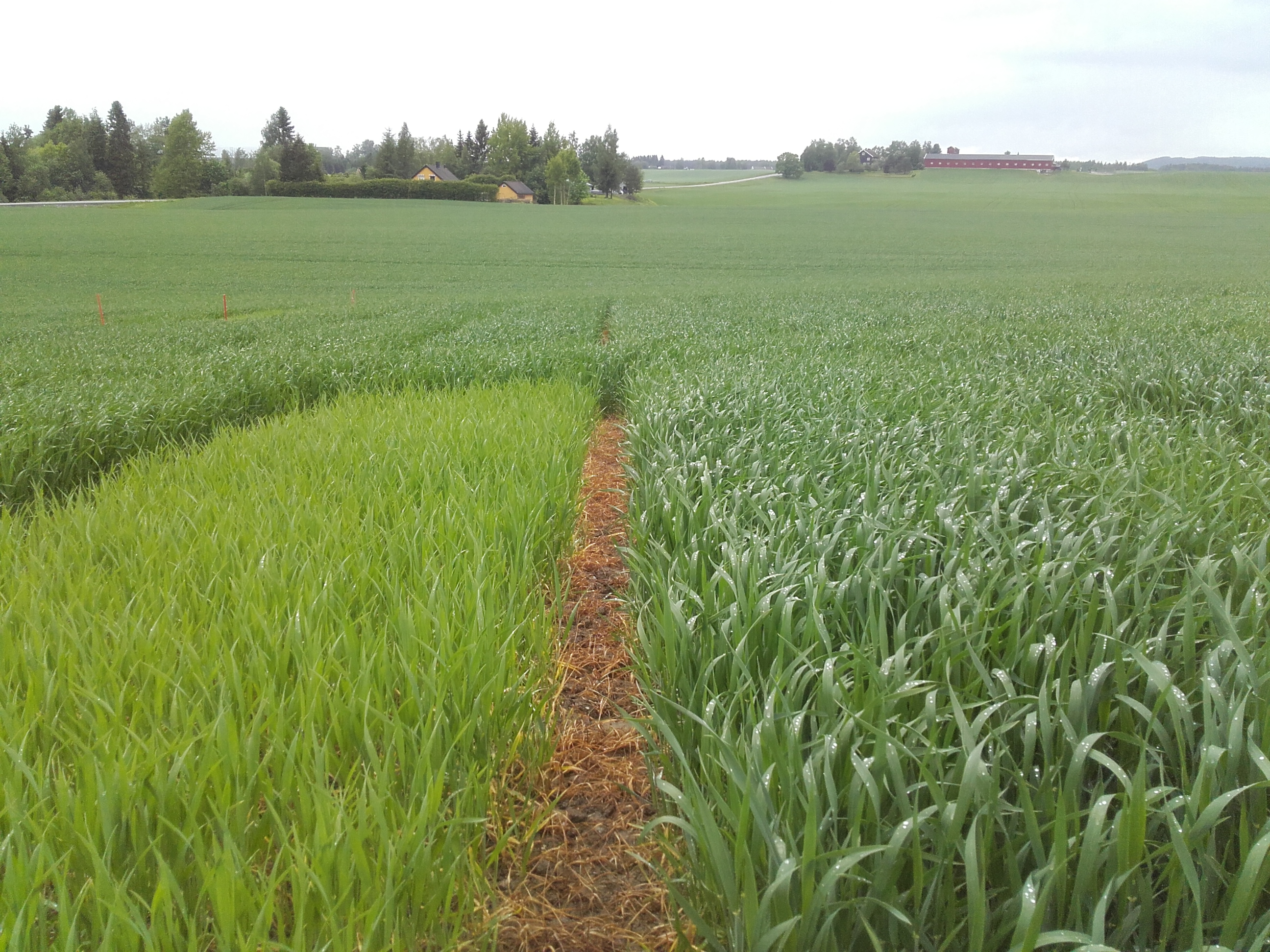 Uke 23 Felt 7 Vormsund. Fotograf Morten Botilsrud