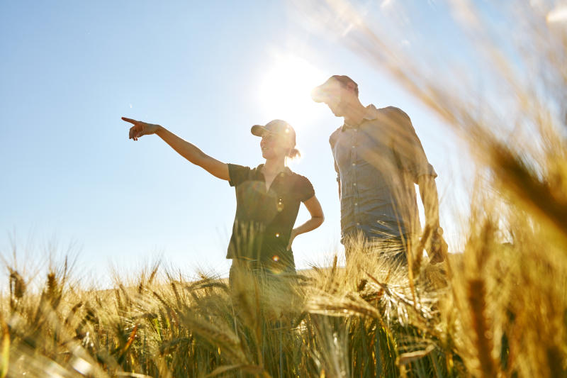 Jordbruker som lærer jordbruker om bærekraftig jordbruk 