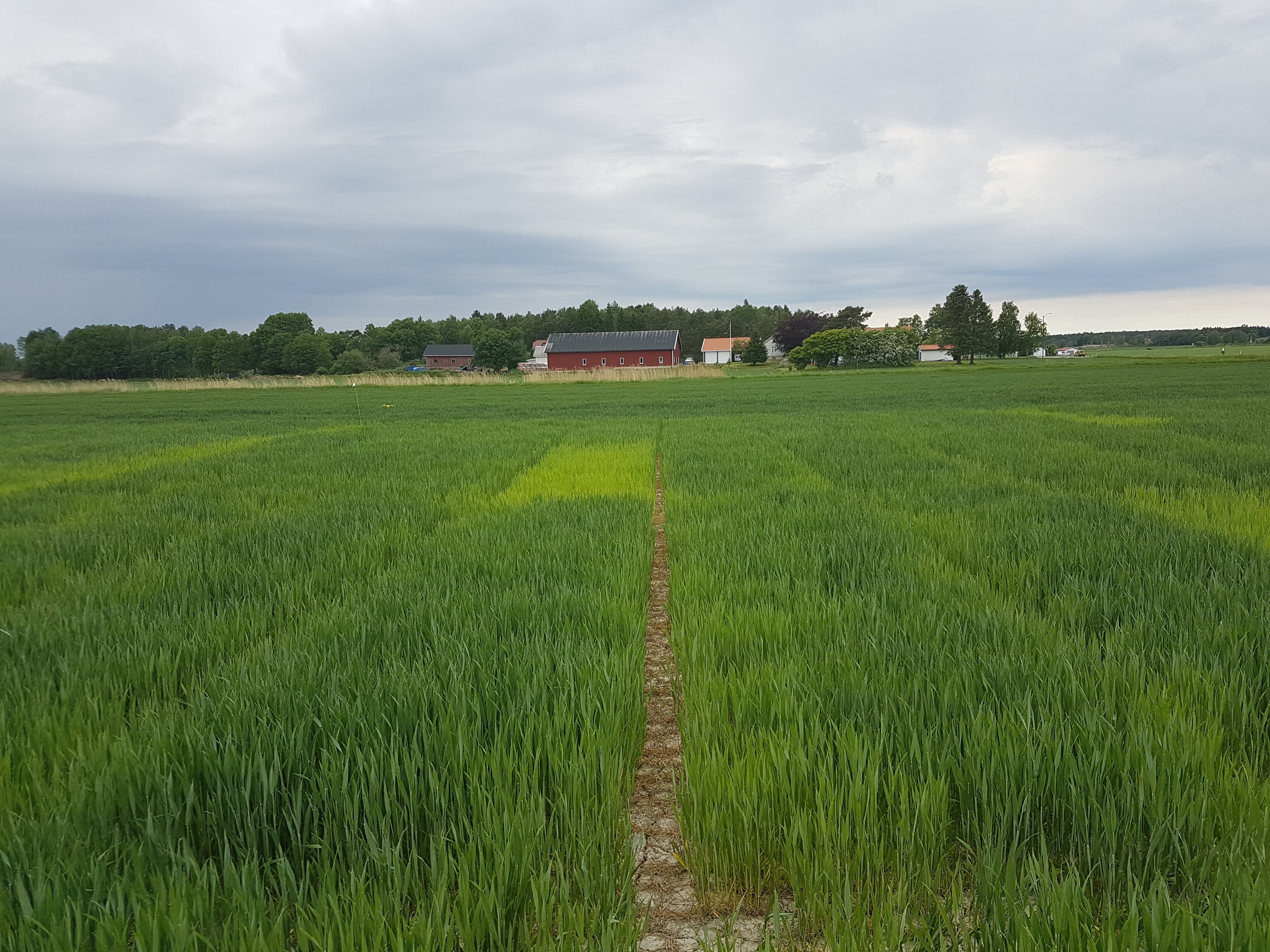 Felt 1 Halden, Foto: Øyvind Akselsen