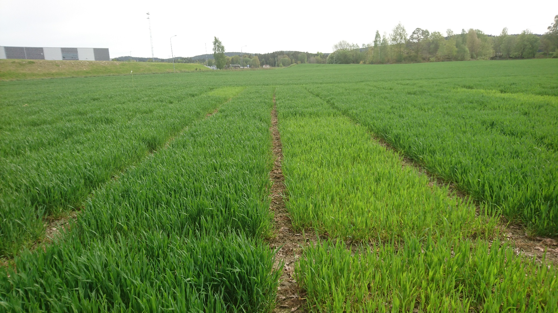 Uke 21 Felt 2 Halden. Fotograf Øyvind Akselsen