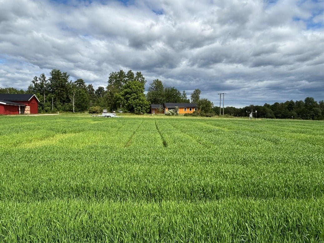 &oslash;stfold