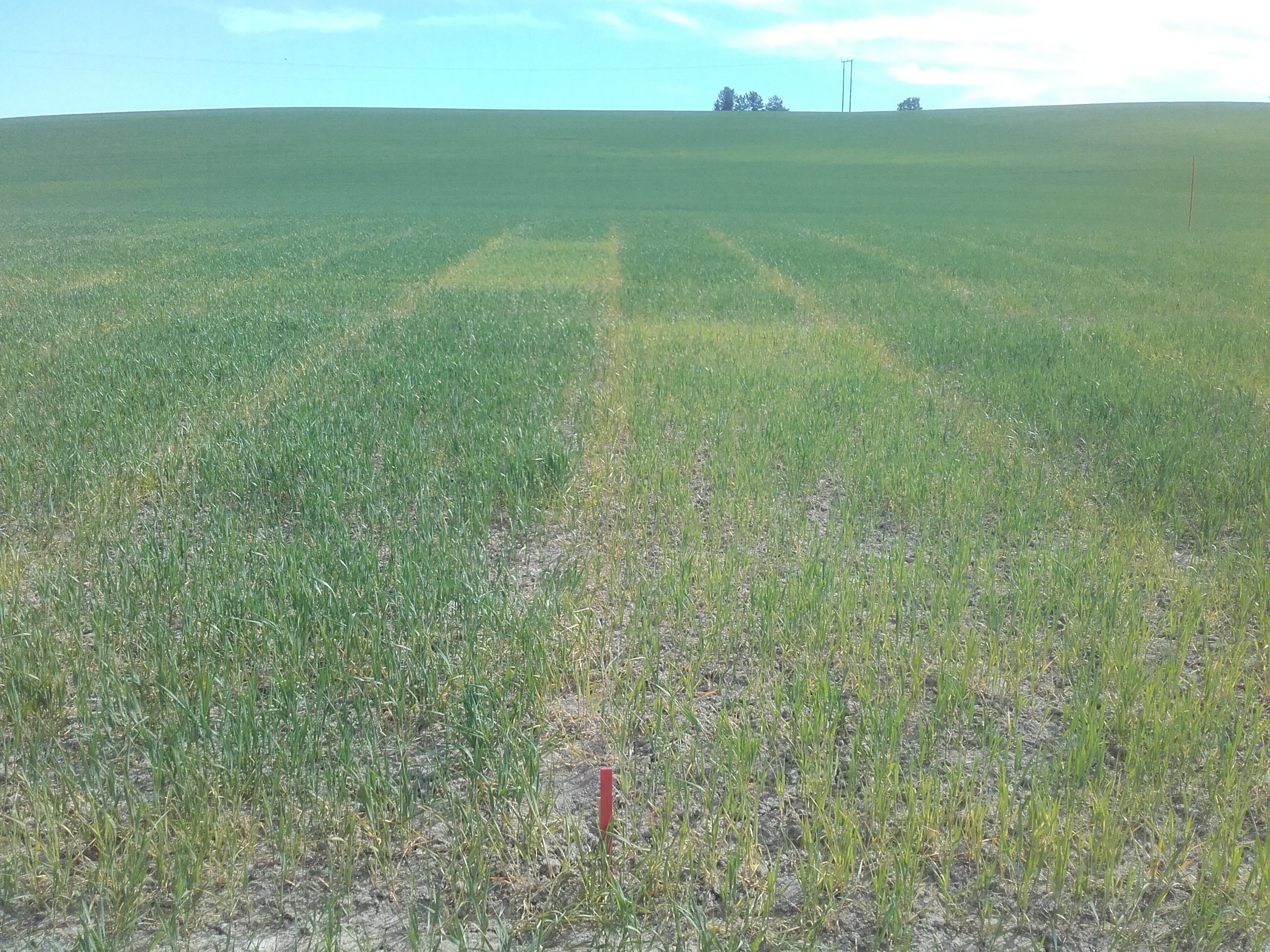 Felt 5 Vormsund 2, Foto: Morten Botilsrud 