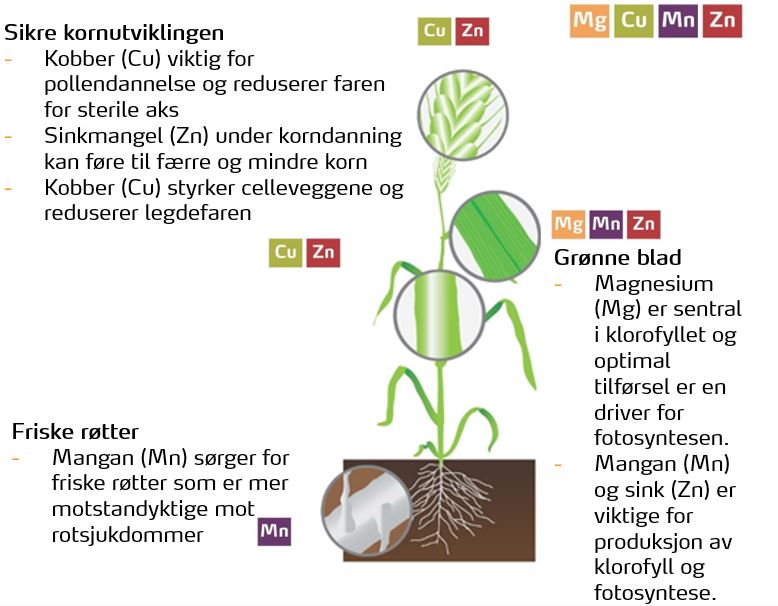 YaraVita-Gramitrel artikkel 2.JPG