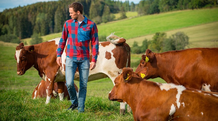 Yara-stipend for oppgaven: «Effekt av fôring fra tre måneders alder og fram til drektighet på melkeytelse i første og andre laktasjon»