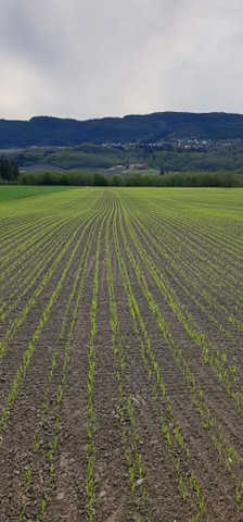 Anna Rathe status 22.mai