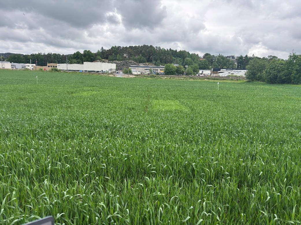 &oslash;stfold