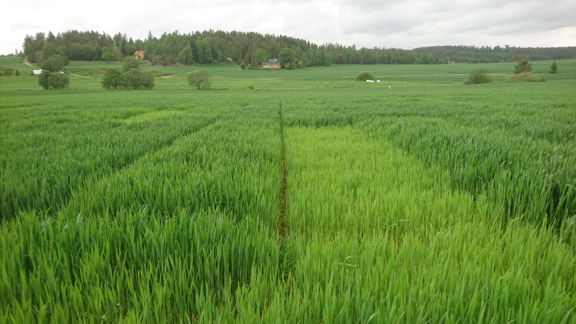 Uke 23 Felt 4 Vestby. Fotograf Øyvind Akselsen