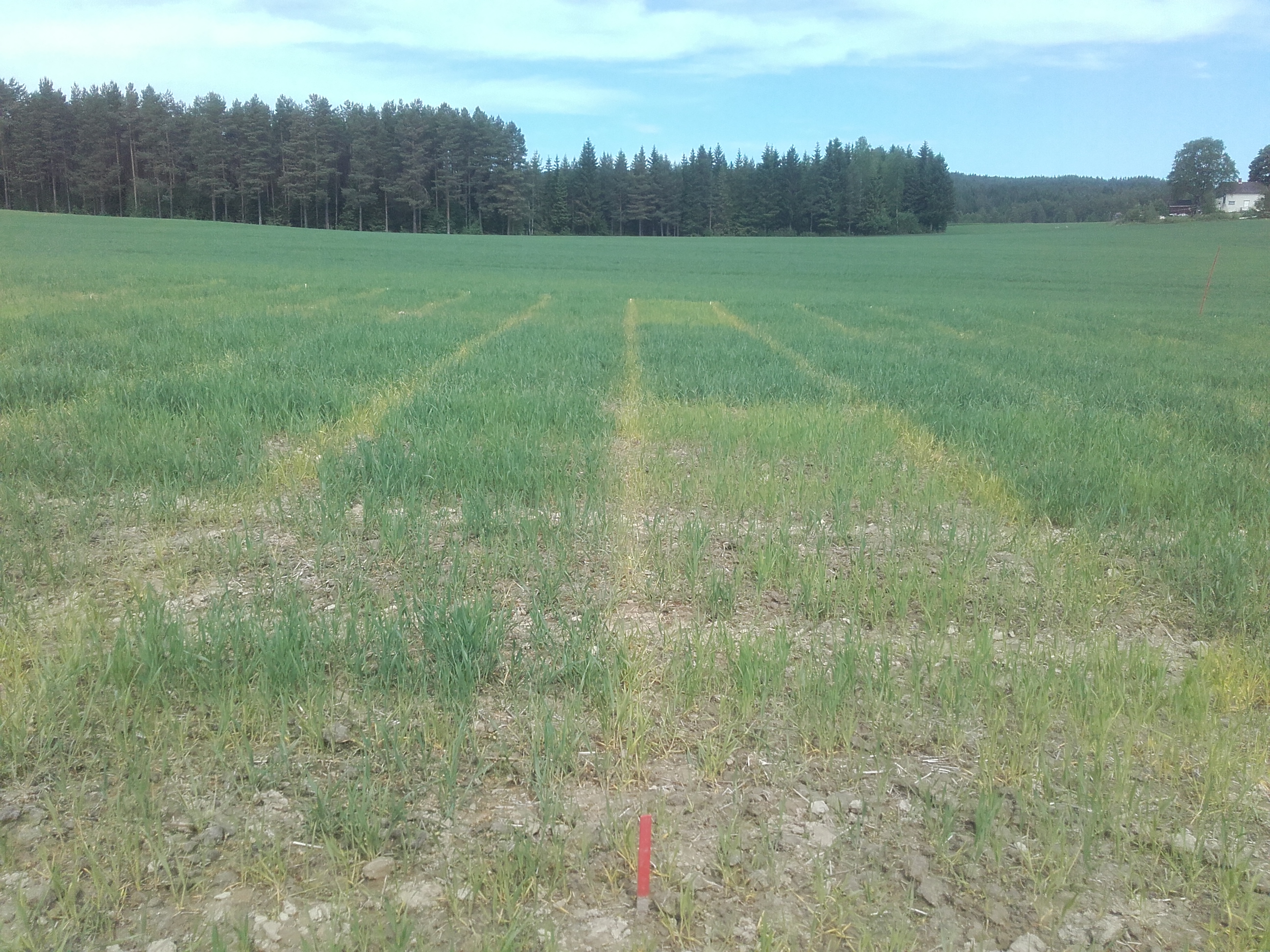 Felt 6 Vormsund 3, Foto: Morten Botilsrud