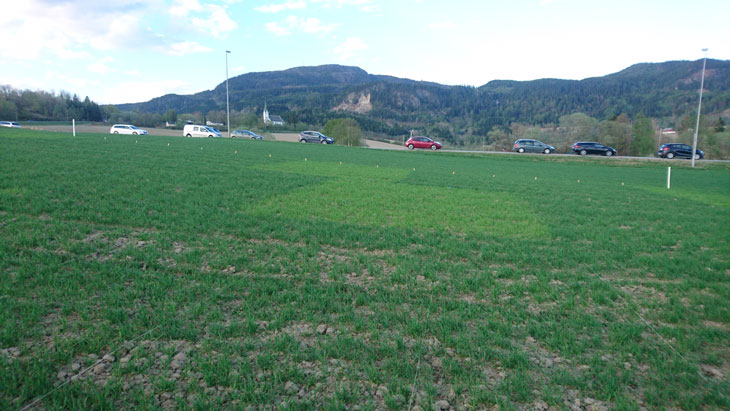 Uke 19 2018, Felt 7. Fotograf Jon Olav Forbord