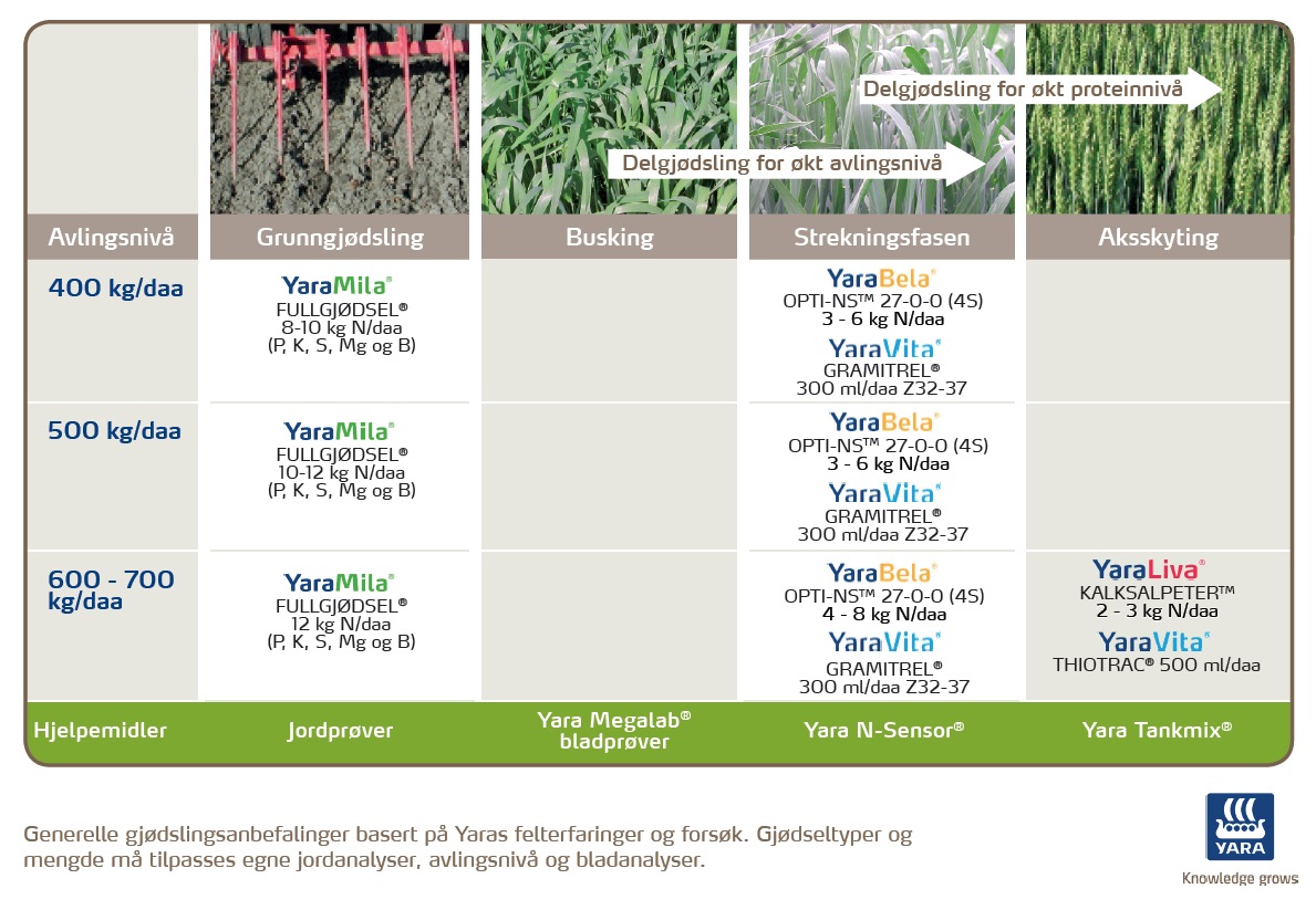 Gjødslingsråd for vårhvete