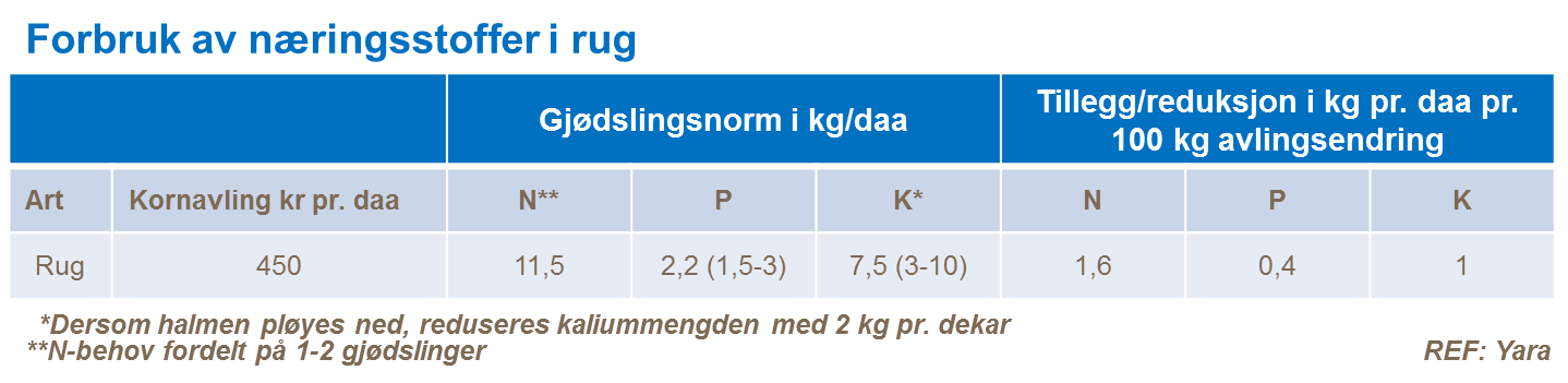 Forbruk av næringsstoffer i rug