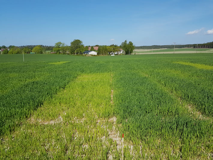 Uke 21 2018, Feltet fra Rakkestad. Fotograf Øyvind Akselsen
