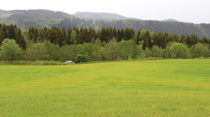 Bygg som gulner etter store nedbørsmengder i Trøndelag i 2015.