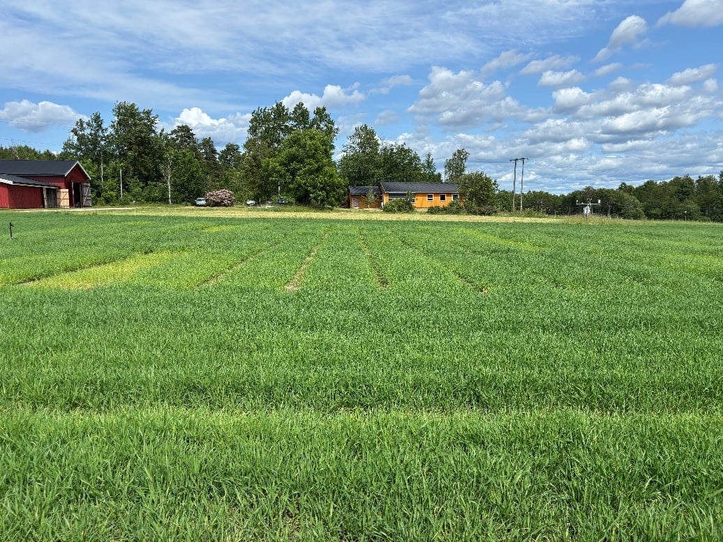 &oslash;stfold