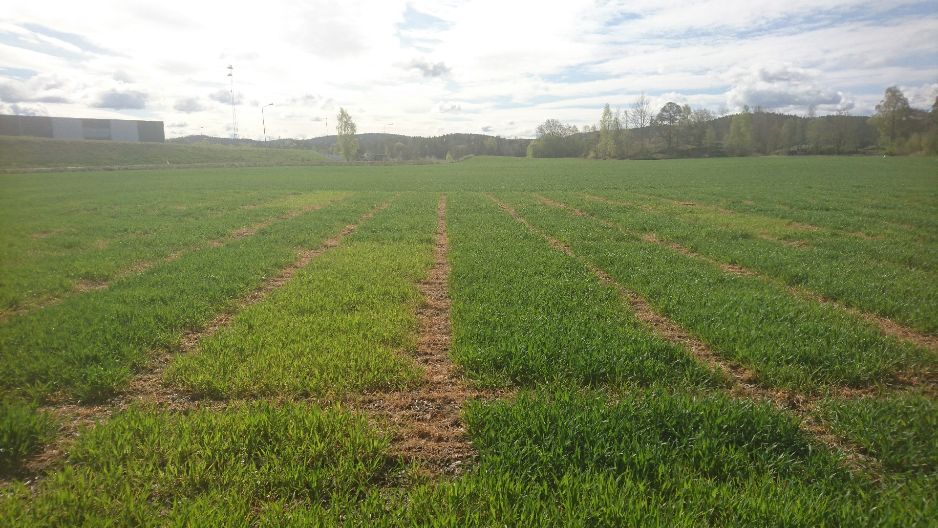 Uke 19 Felt 2 fra Halden