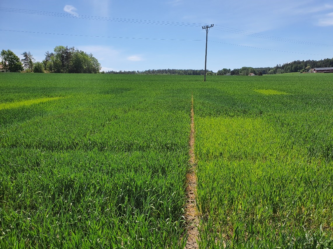 Bilde 1 Fredrikstad.jpg