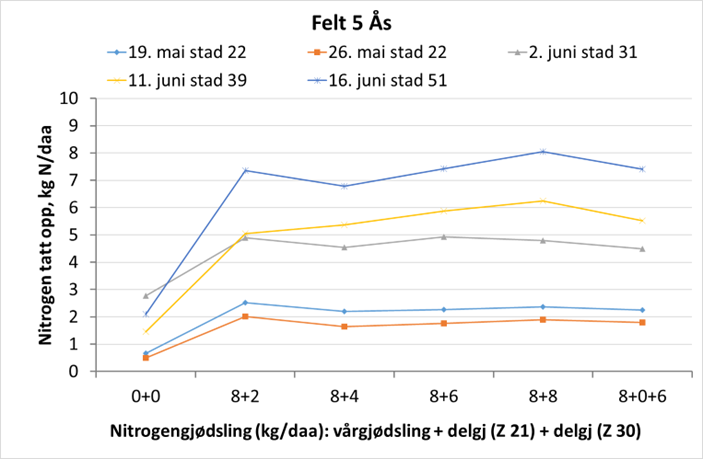&aring;s