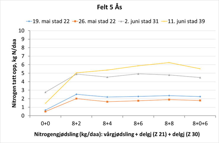 &aring;s