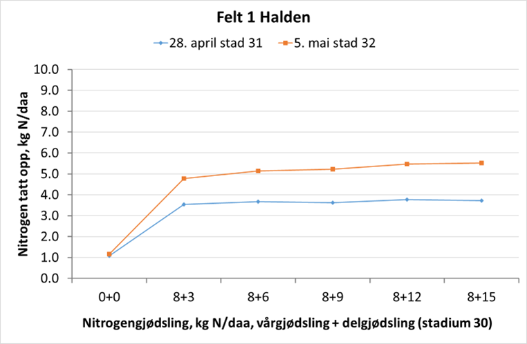 halsen figur