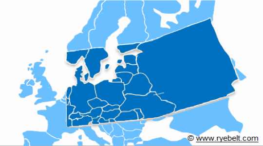 Verdens rugproduksjon