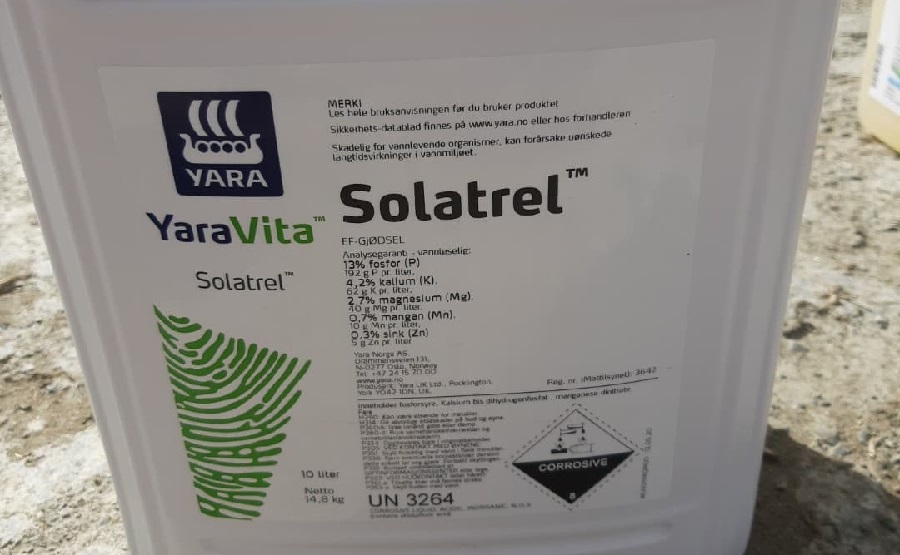 Statusrapport Anne Rathe