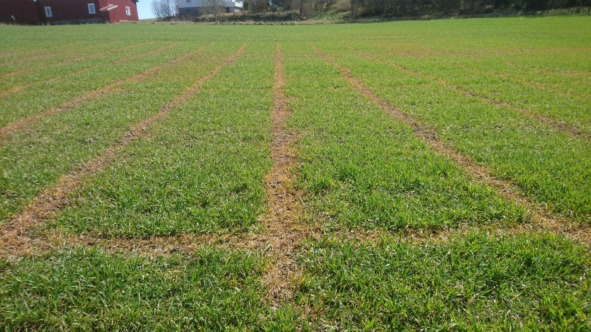 Uke 18 Felt 3 Fredrikstad