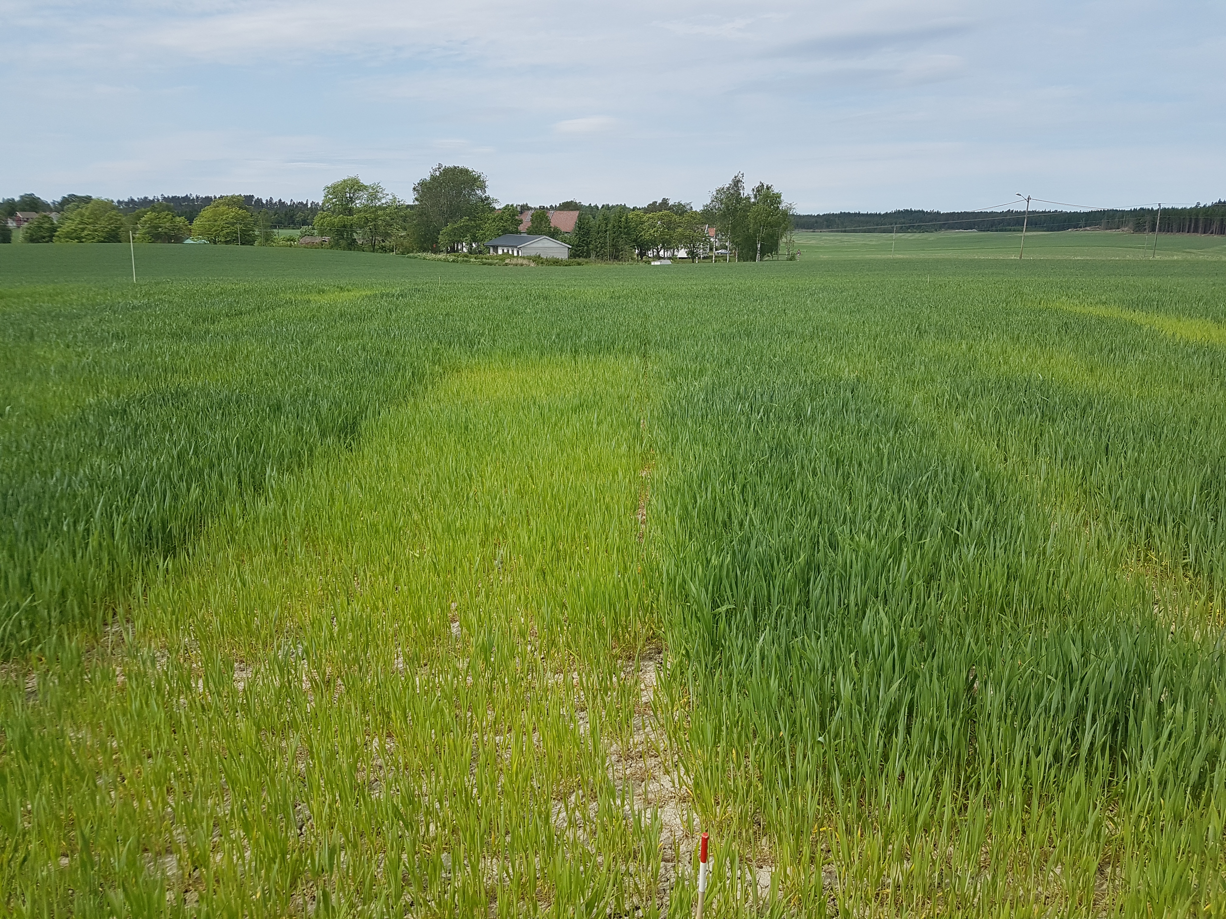 Felt 3 Rakkestad, Foto: Øyvind Akselsen